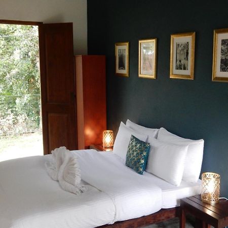 คาโดลานา อีโค วิลเลจ Hotel บาลาปิตียา ภายนอก รูปภาพ